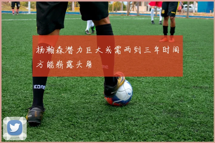 杨瀚森潜力巨大或需两到三年时间方能崭露头角