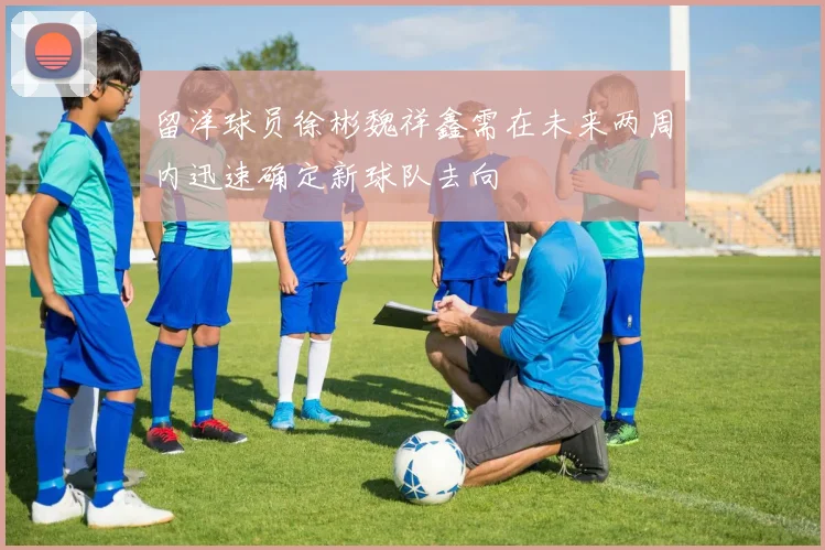 留洋球员徐彬魏祥鑫需在未来两周内迅速确定新球队去向