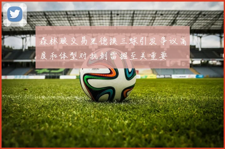 森林狼交易里德换三球引发争议高度和体型对抗刺雷掘至关重要